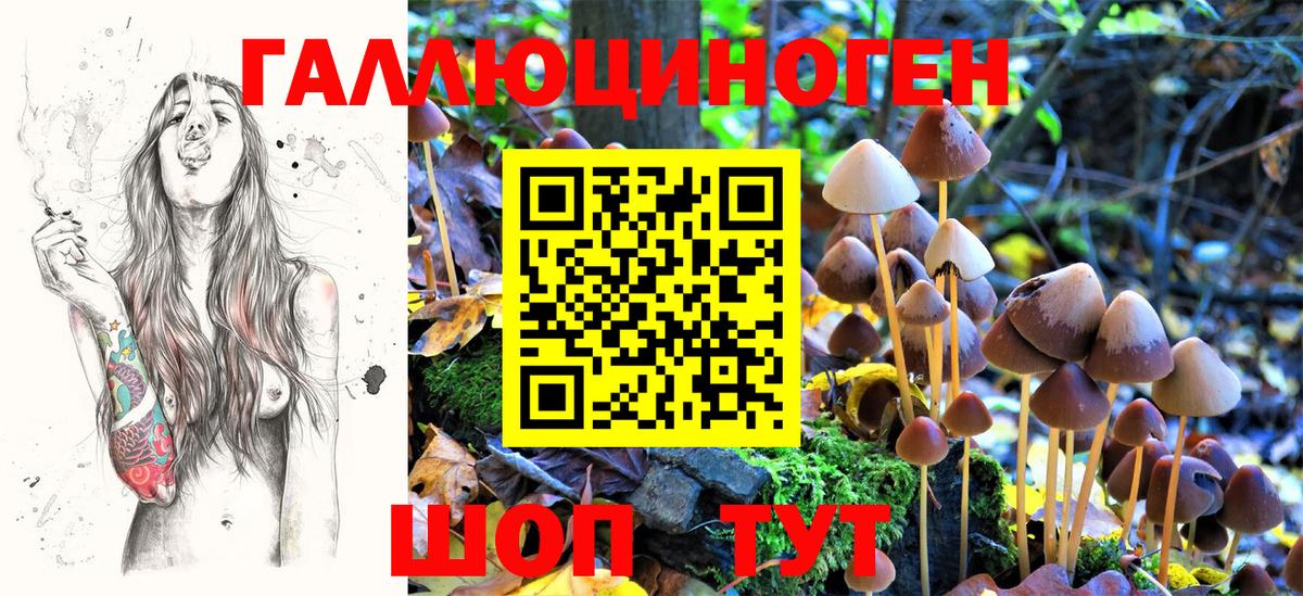 Псилоцибиновые грибы MAGIC MUSHROOMS Ростов Великий