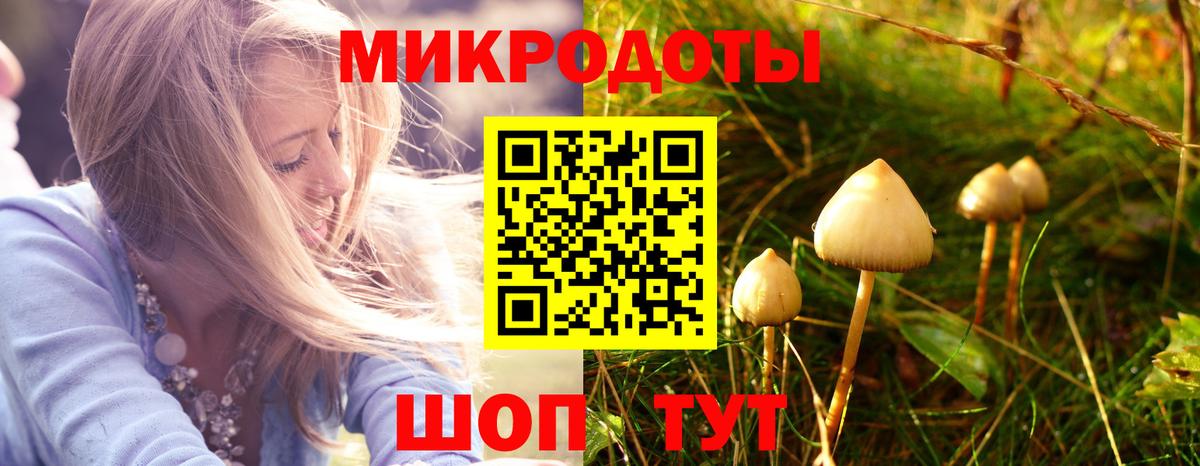 Ростов Великий  Галлюциногенные грибы Psilocybe  Вход с VPN  Псилоцибиновые грибы ЛСД 